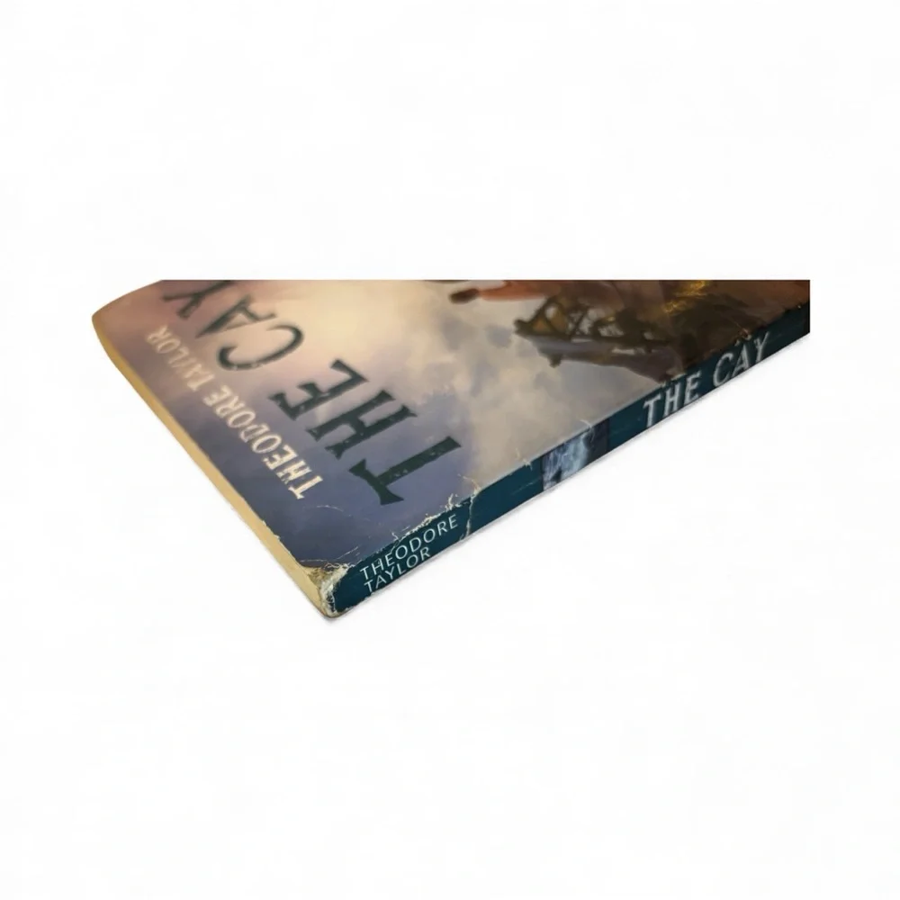 The Cay by Theodore Taylor used condition paper back